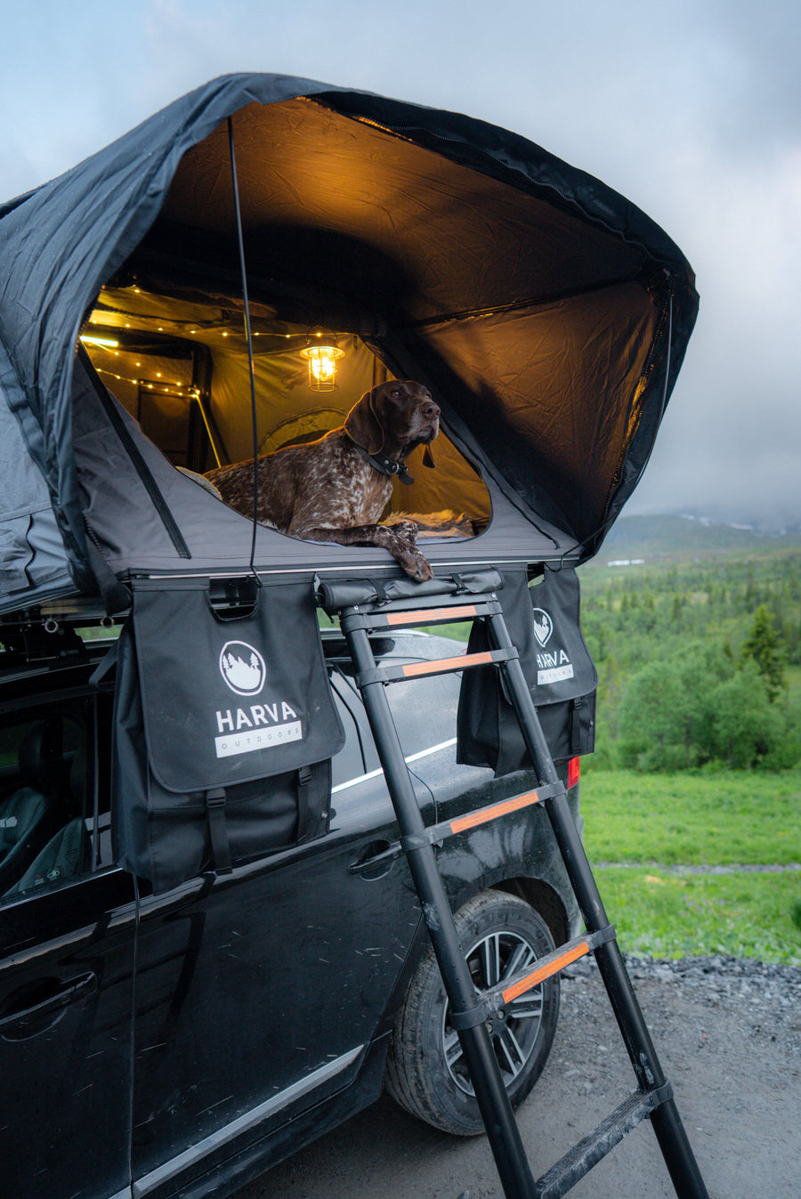 Hund i upplyst hårdskalstält från Harva Outdoors på en svart bil vid fjället